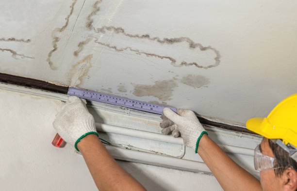 Reliable Structural Drying contractor in Plymouth, MI by Water Damage Irwin